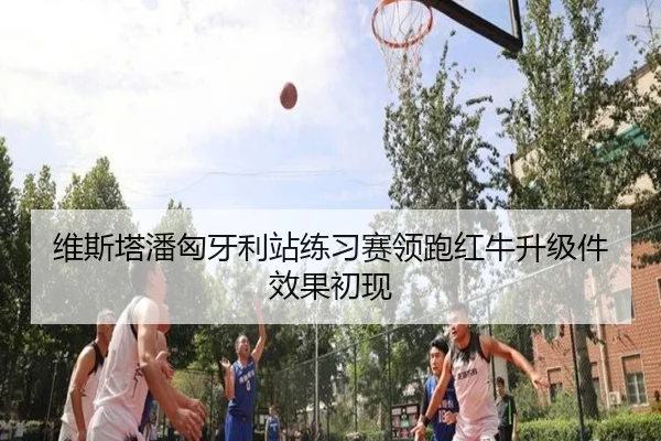 维斯塔潘匈牙利站练习赛领跑红牛升级件效果初现