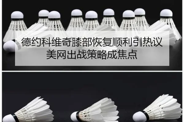 德约科维奇膝部恢复顺利引热议 美网出战策略成焦点